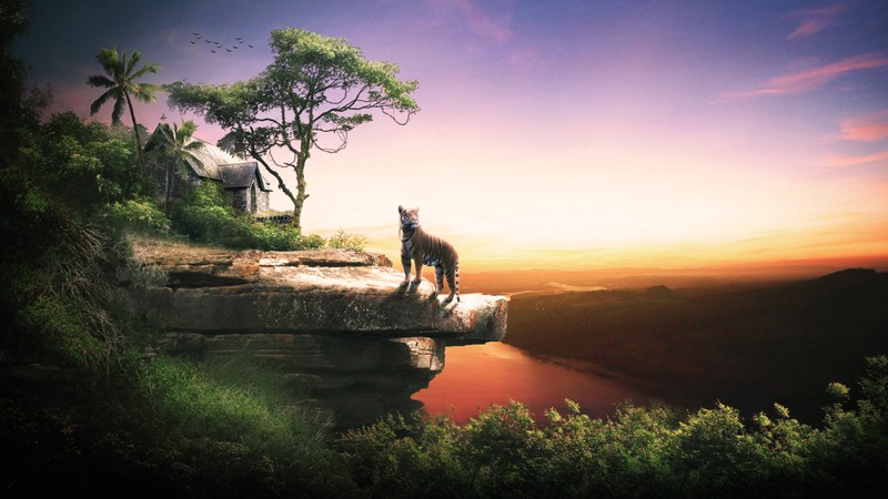 There is a man standing on a cliff with a dog (tiger, nature, morning, tree, sunrise)