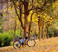 Vélo au milieu de fleurs jaunes tombant en automne