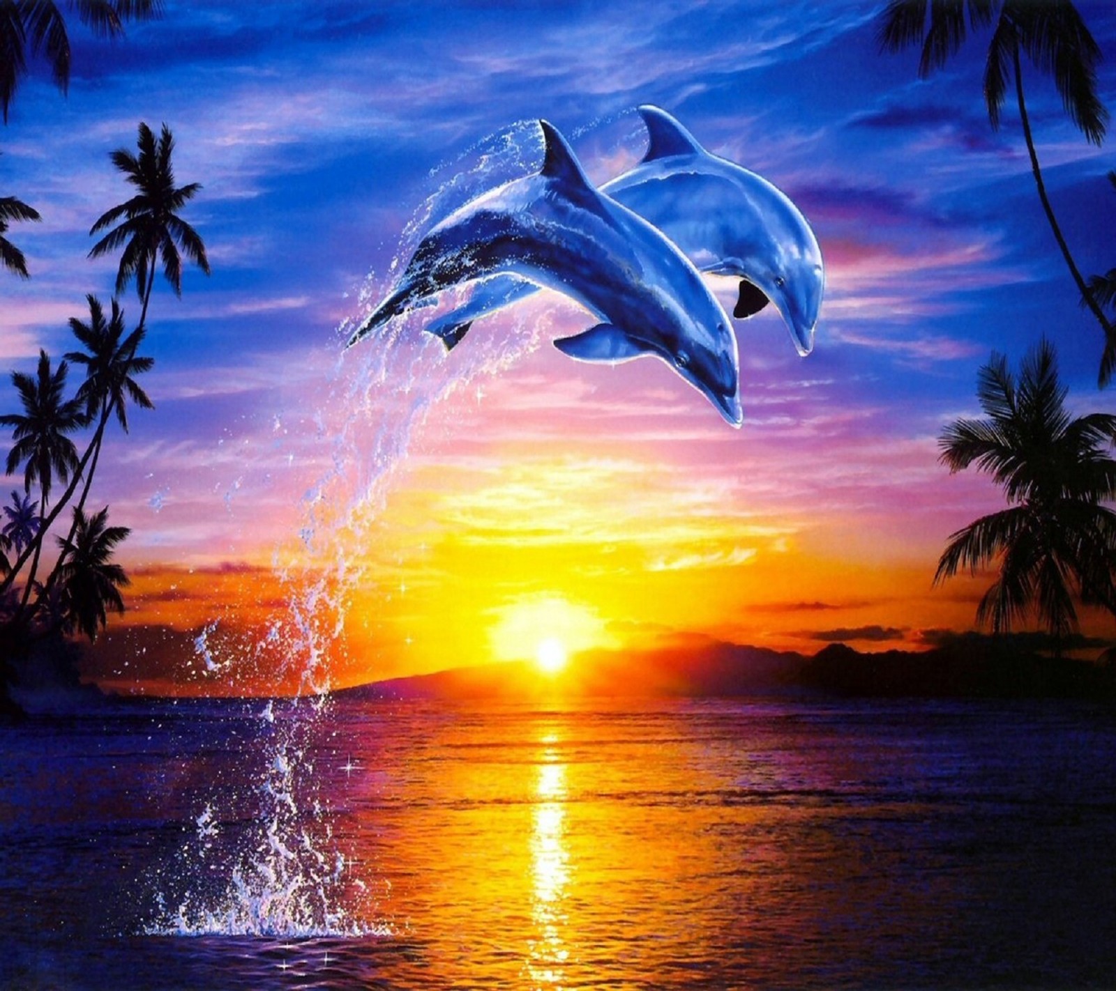 Des dauphins sautant hors de l'eau au coucher du soleil (coucher de soleil, underwater delfine)