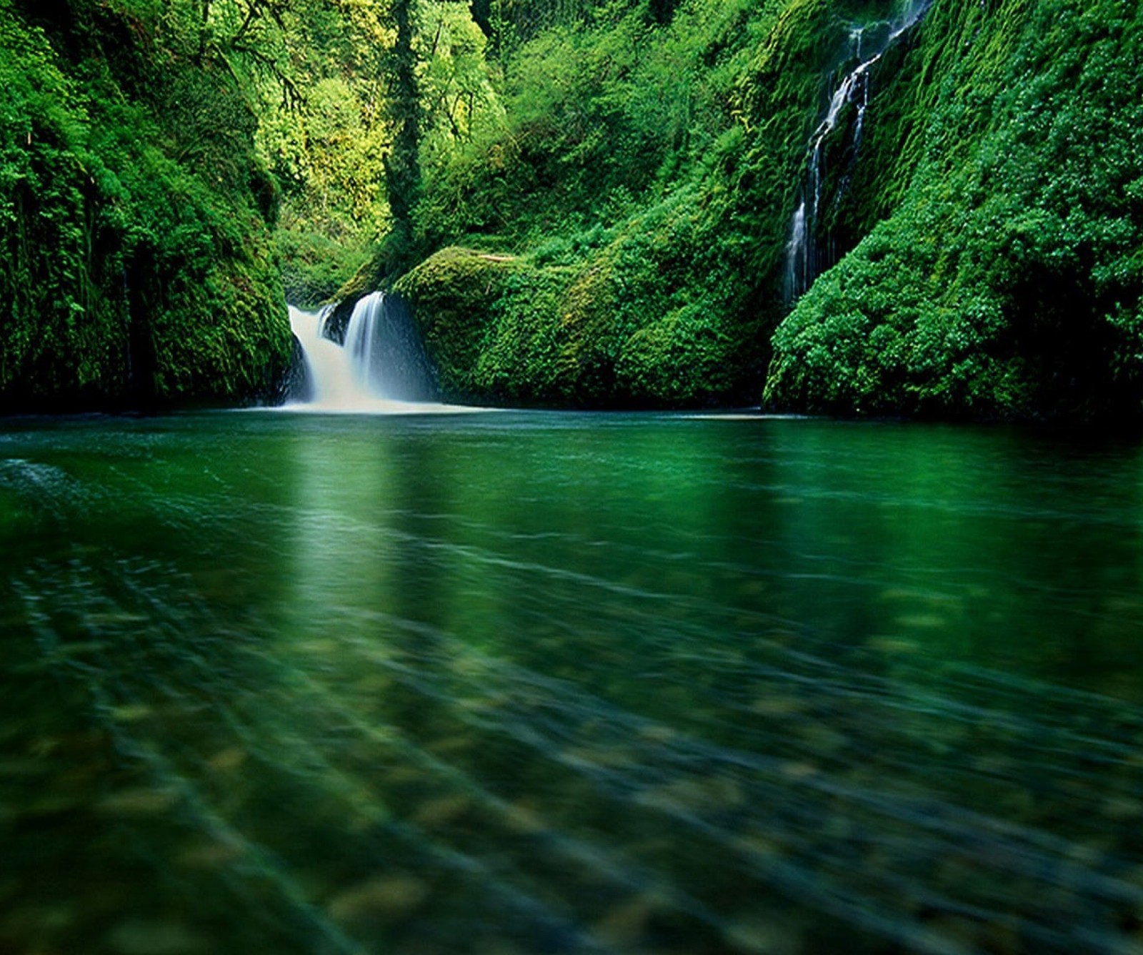 Há uma cachoeira no meio de uma floresta verde (verde, lago, paisagem, natureza, cênico)