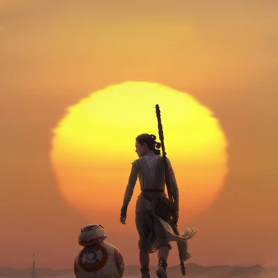 Rey und BB-8 silhouettiert gegen einen Sonnenuntergang im Star Wars Universum