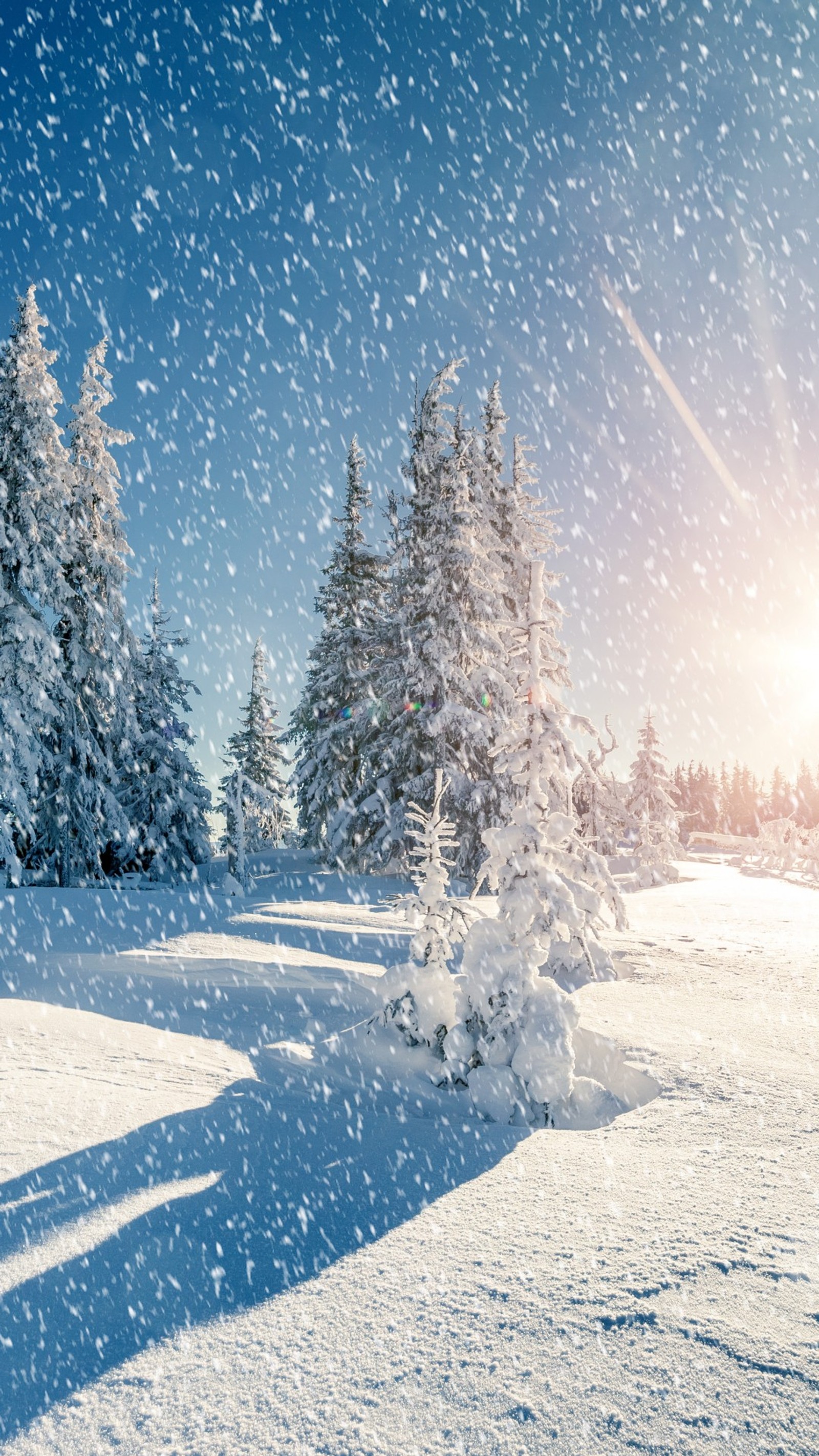 Téléchargez le fond d'écran 1080p, hd, nature, neige, lumière du soleil