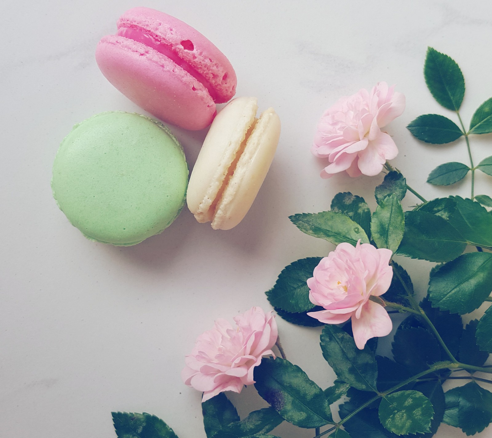 french, macarons, nature, pink, roses wallpaper