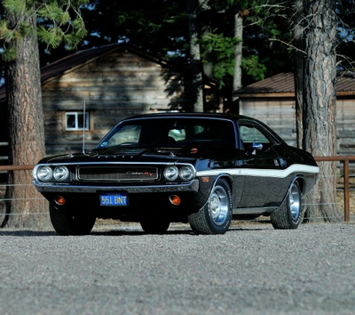 Dodge Challenger 1970: Clásico Muscle Car Americano en Blanco y Negro