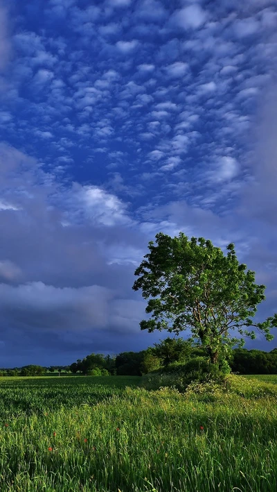 Grama verde vibrante sob um céu azul deslumbrante com uma árvore solitária