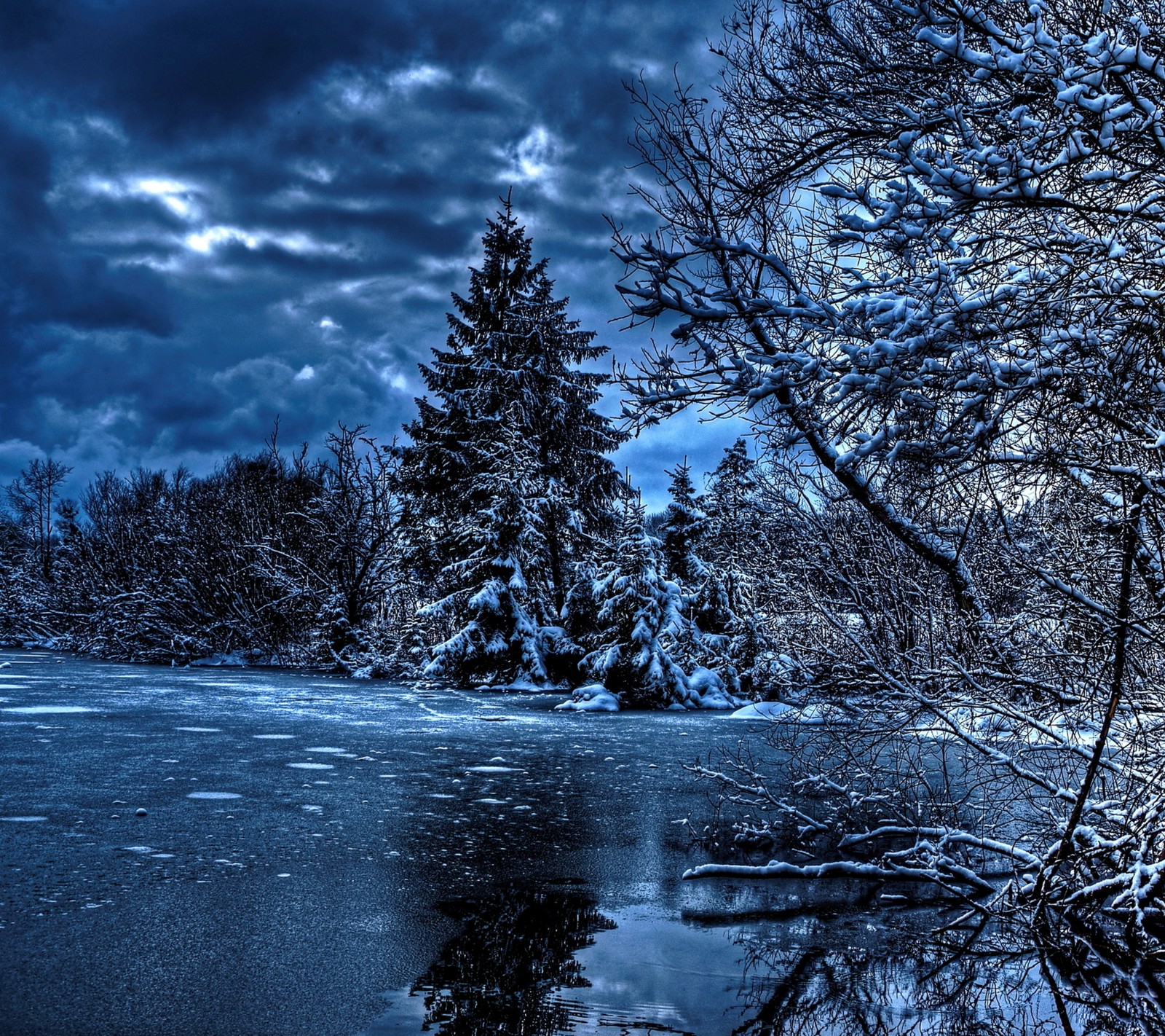 Des arbres enneigés et un lac au milieu d'une forêt (bleu, lac, nuit, arbres)