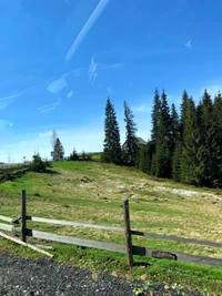 Paisaje montañoso pastoral con vegetación exuberante y cielo azul claro