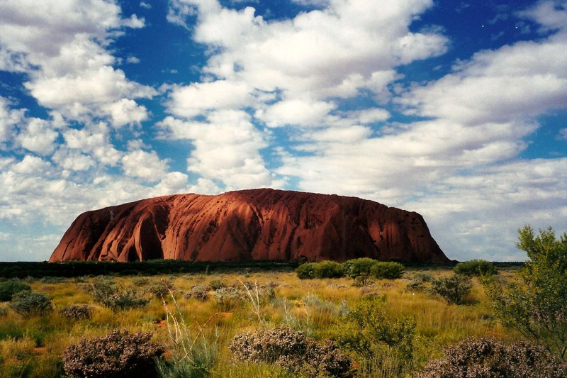 Жираф на скале в буше с облачным небом (улуру, uluru, внутренние районы австралии, природный пейзаж, природа)