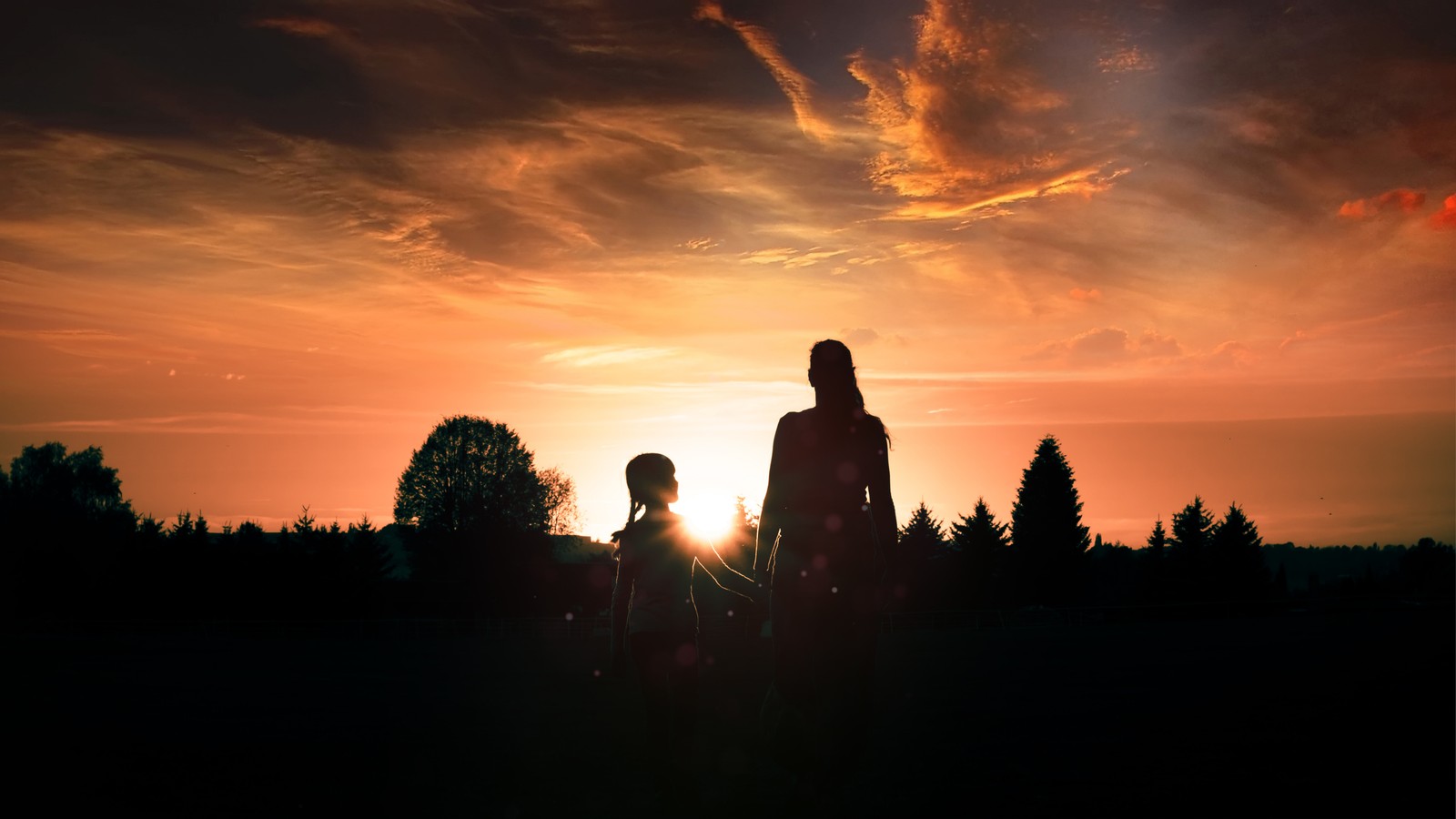 Zwei personen stehen auf einem feld bei sonnenuntergang (abend, rot, tochter, sohn, tussilago)