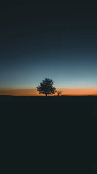 Silhueta de uma árvore solitária contra um céu ao entardecer