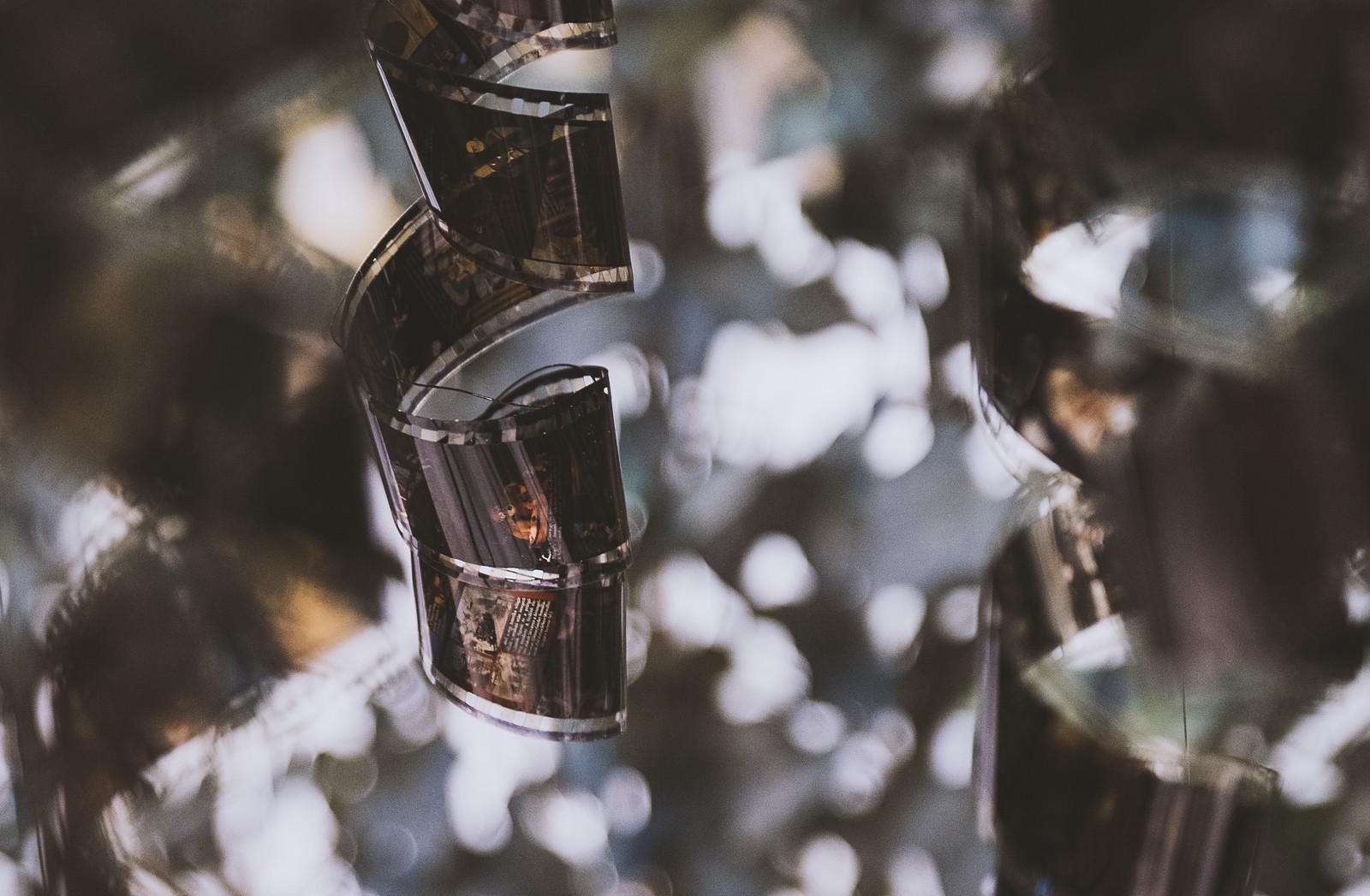 There are many different pictures of a building and a tree (tree, glass, film director, filmmaking, bottle)