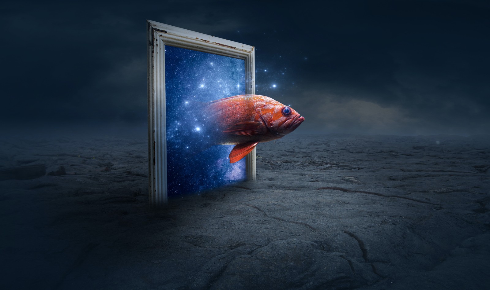 orange fish, photo manipulation, fantasy artwork, galaxy, stars Download Wallpaper