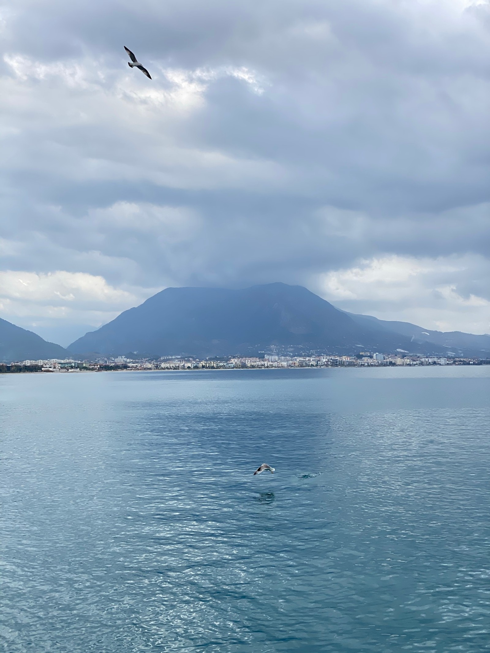 There is a bird flying over the water with a mountain in the background (cloud, water, water resources, atmosphere, mountain)