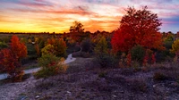 Lebendiger Herbstsonnenuntergang über einem gewundenen Pfad in der Wildnis