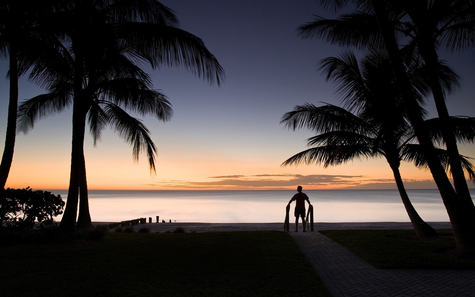 Lade weihnachtstag, palme, sonnenuntergang, tropen, horizont Hintergrund herunter