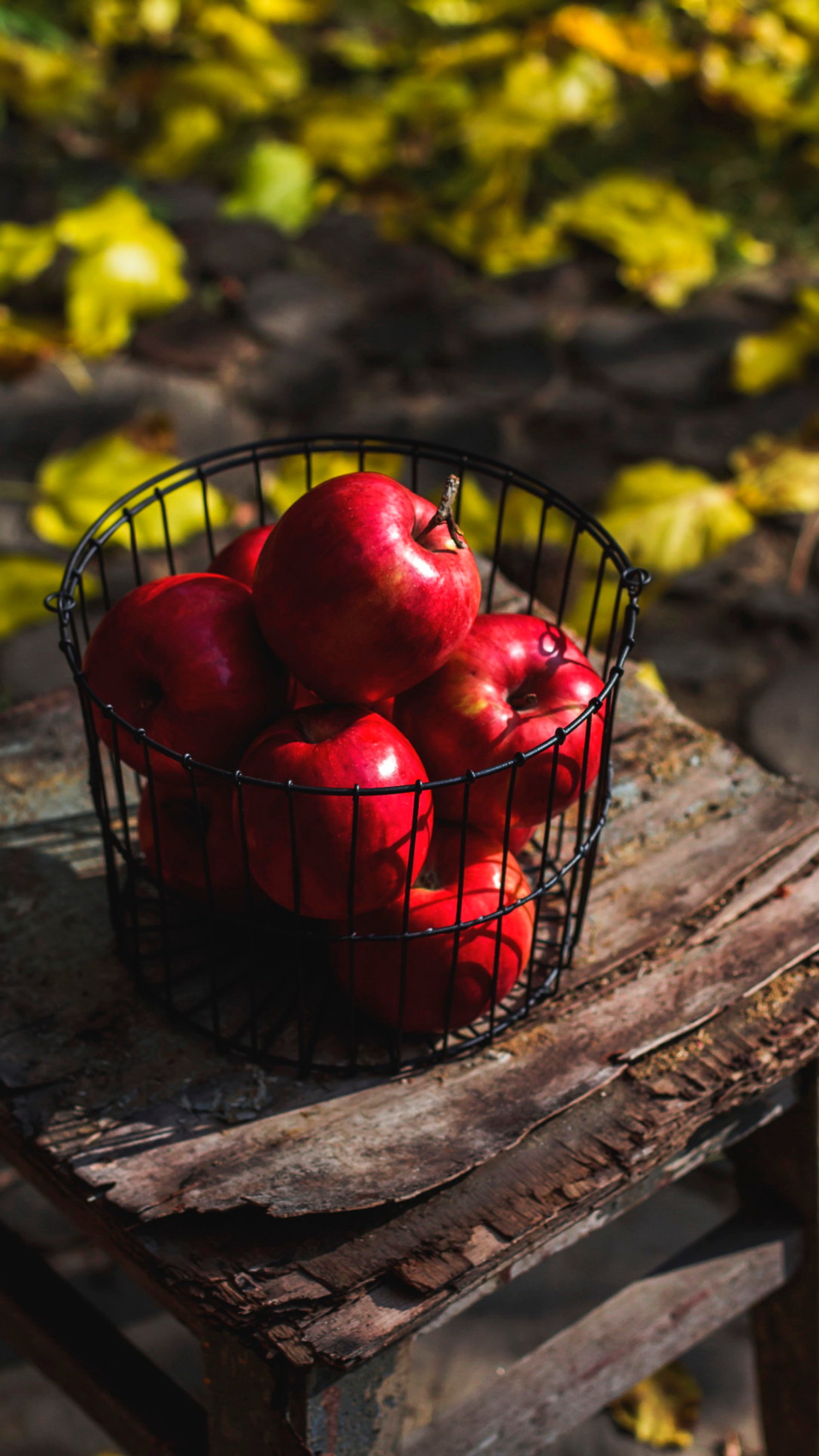 Скачать обои фрукт, еда, растение, натуральные продукты, веточка