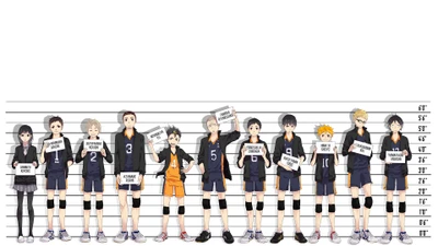 Karasuno Volleyball Team Lineup - Haikyuu Characters