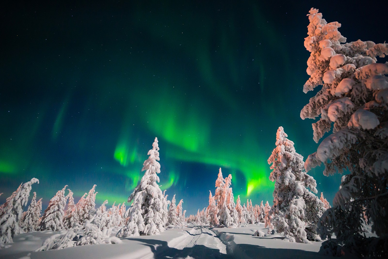 Une personne sur des skis dans la neige avec une aurore boréale verte (aurore, hiver, nature, gel, atmosphère)