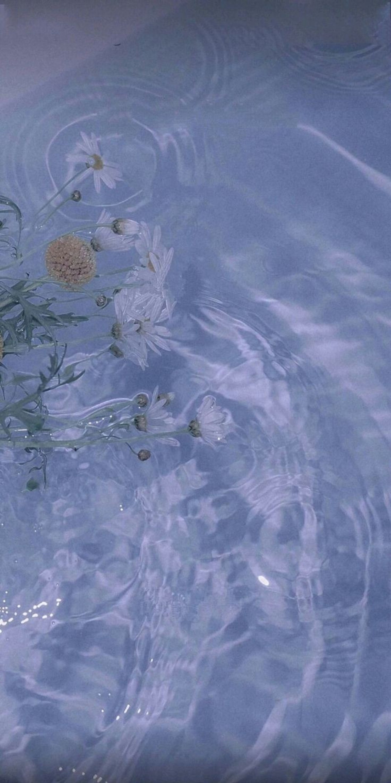 Il y a un ours en peluche dans une baignoire avec de l'eau et des fleurs (esthétique, eau)