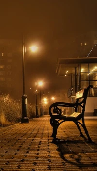 Lonely Bench Under Night Lights