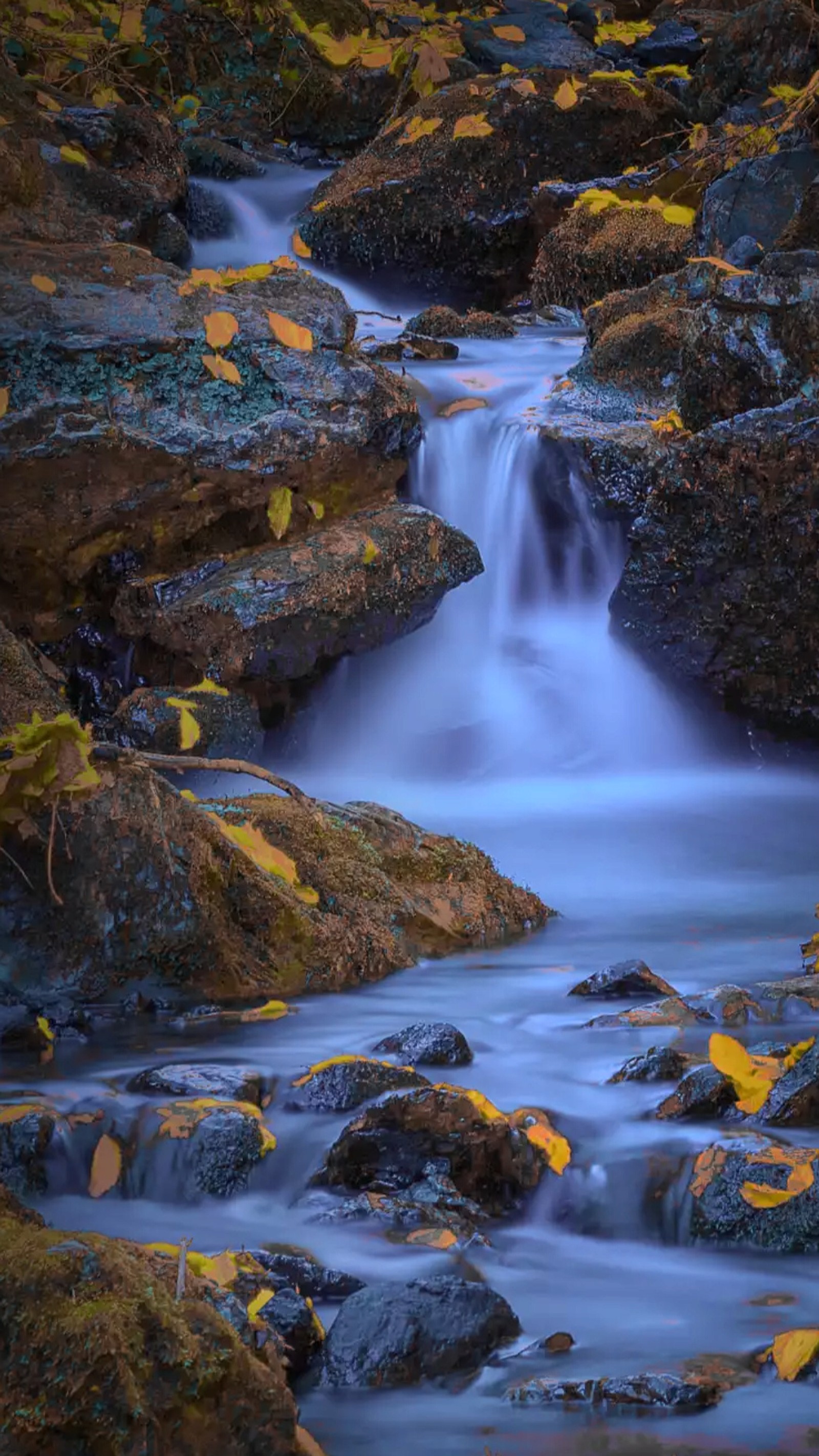 Cascada árabe en un área rocosa con hojas amarillas en las rocas (otoño, hojas, naturaleza, rio, rocas)