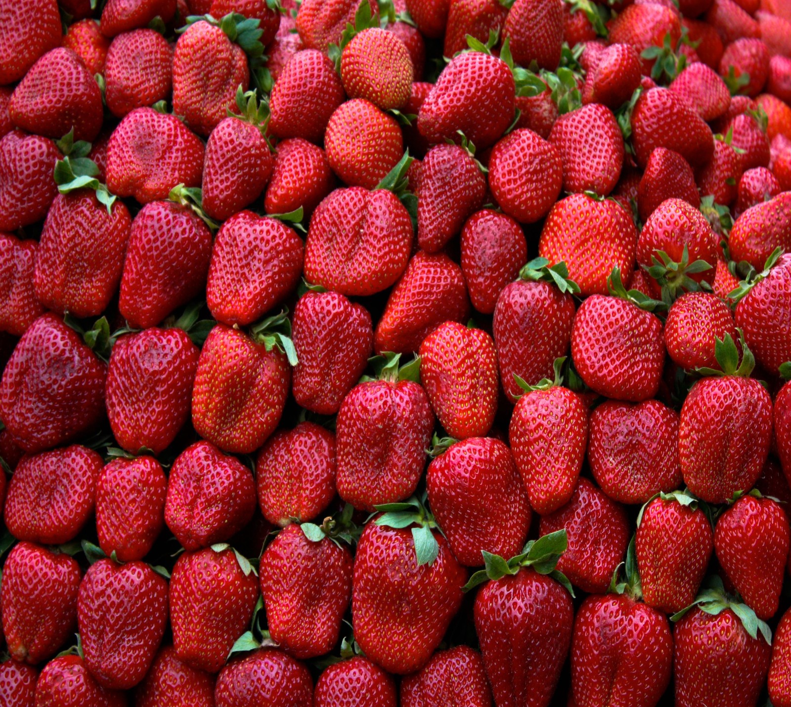 Un hermoso montón de fresas con hojas verdes en la parte superior (abej, beograd, bayas)