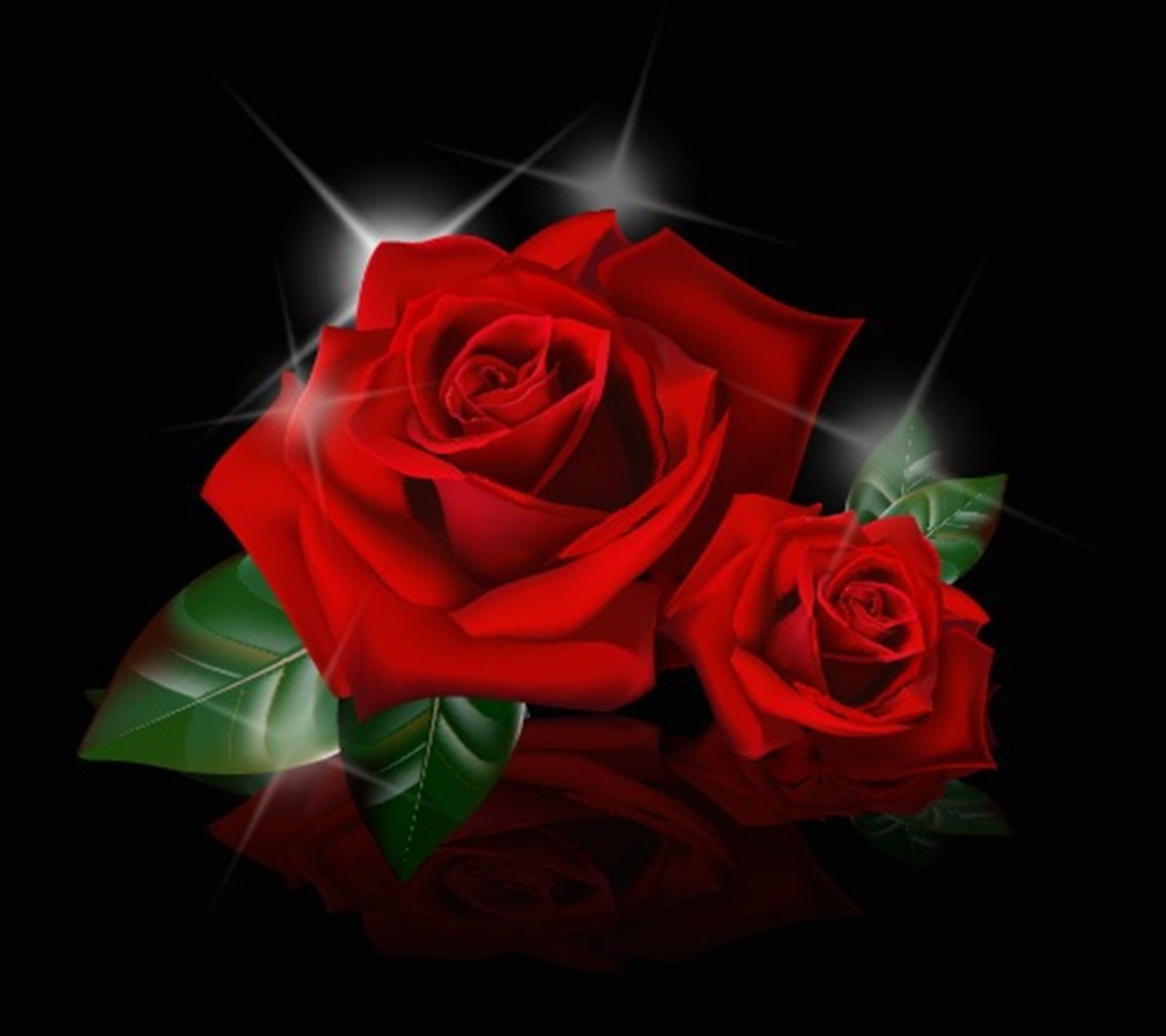 red, roses wallpaper