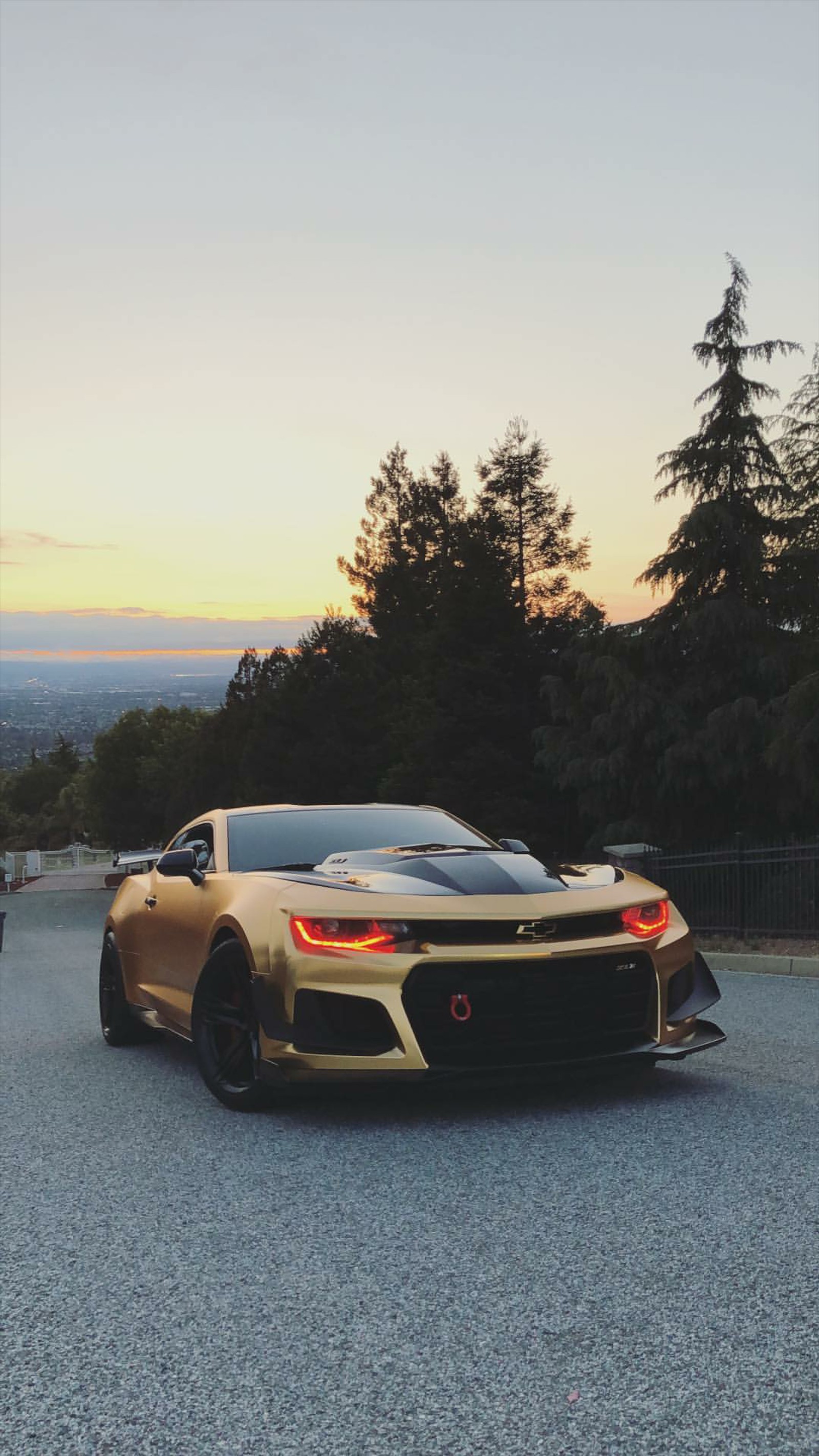 A close up of a car parked on a road near a forest (chevrolet, camaro, gold, car, supercar)