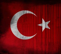 turk, turkey, turkish wallpaper