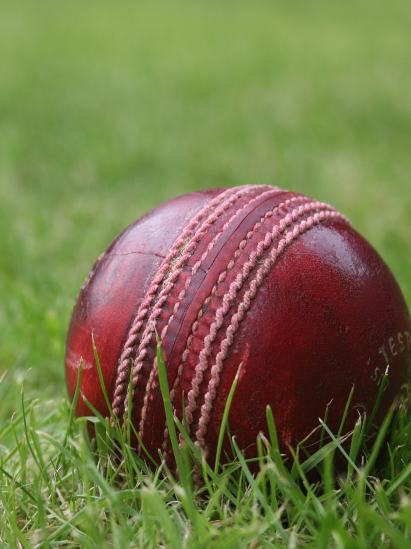 Un primer plano de una pelota de cricket roja de cuero en la hierba (pelota, críquet)