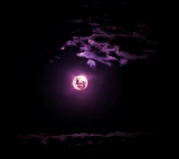 Vibrant Purple Moonlight Illuminating the Night Sky