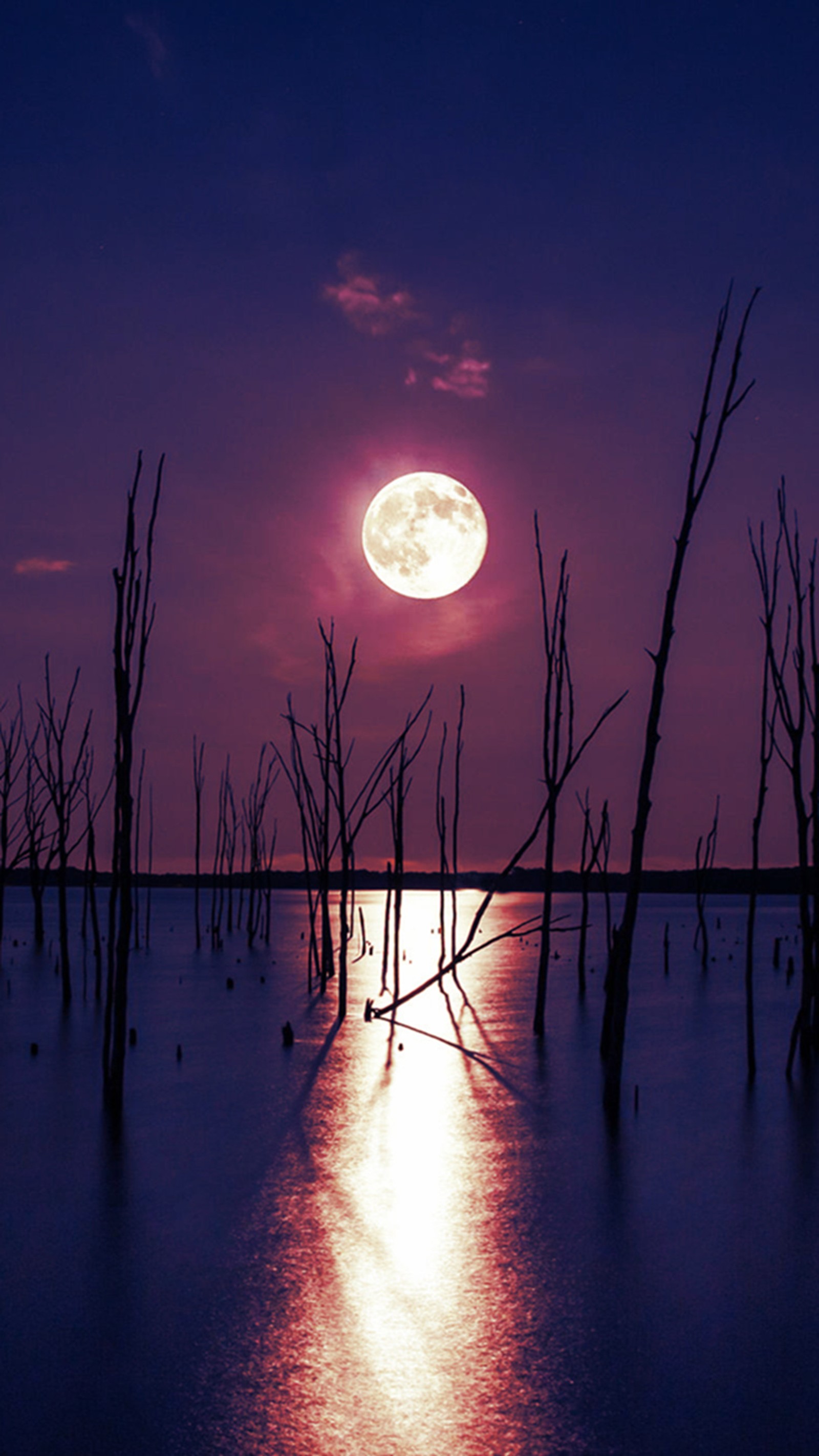 Vue panoramique d'une pleine lune se couchant sur un lac avec des arbres morts (clair de lune, réflexions)