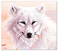 white, wolf wallpaper