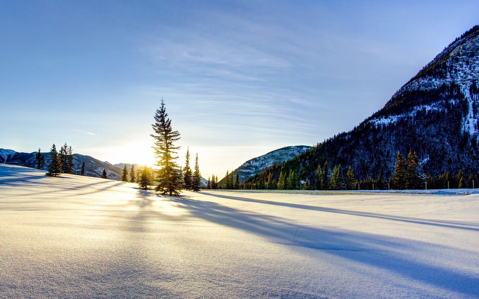 Uma vista de um campo coberto de neve com árvores e montanhas ao fundo (neve, inverno, natureza, azul, montanha)