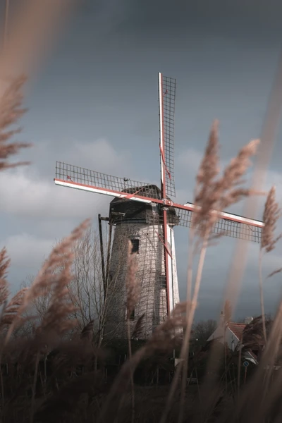 Historische Windmühle zwischen hohem Gras unter einem stimmungsvollen Himmel