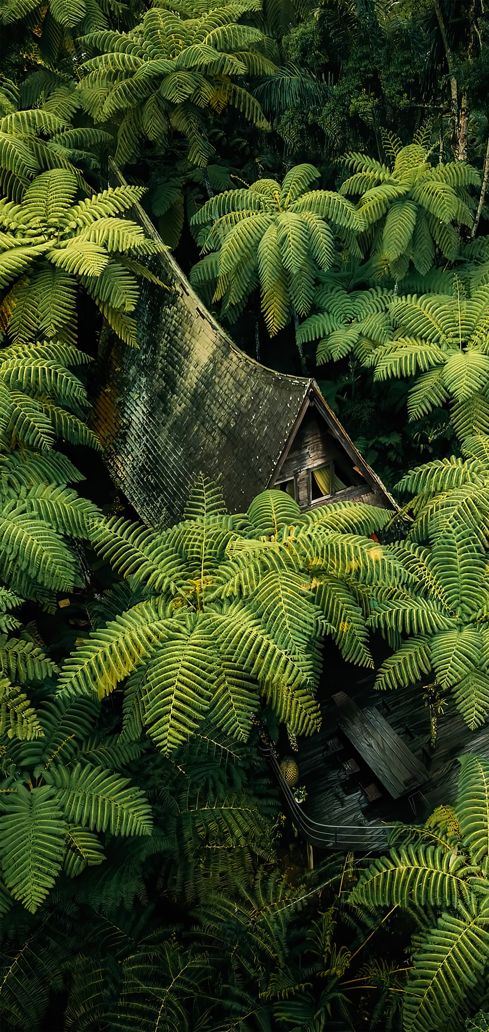 Hay una pequeña casa en medio de un bosque. (vegetación, bosque templado de coníferas, comunidad vegetal, planta, ramo)