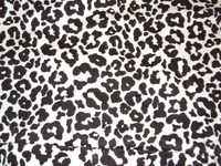 leopardo, guepardo, estampa animal, padrão, design