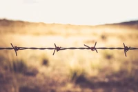 Barbed Wire Fence Against a Natural Landscape