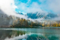 Réflexions matinales sereines dans un paysage sauvage brumeux