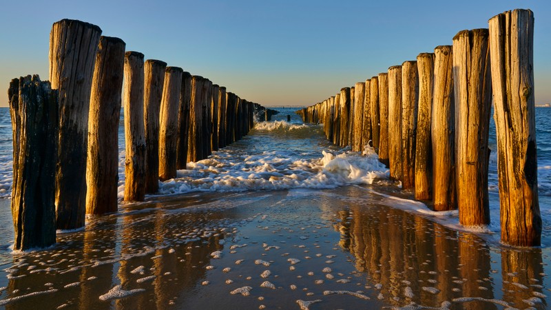 Крупный план деревянного пирса с прибойными волнами (breskens beach, голландия, holland, нидерланды, штормовые дамбы)