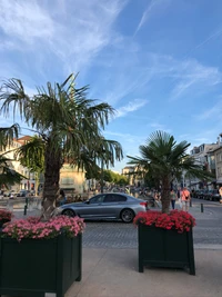 Una escena urbana bulliciosa con palmeras y macetas coloridas, con un sedán de tamaño mediano pasando, bajo un cielo azul claro.