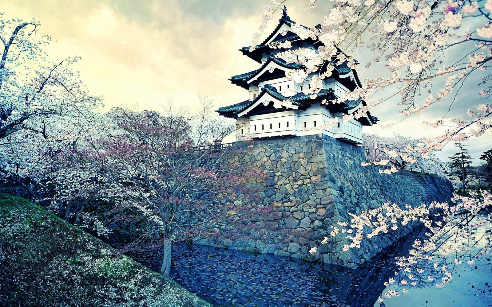 Hay una gran torre con un reloj en la parte superior (árbol, hito, planta, invierno, castillo)