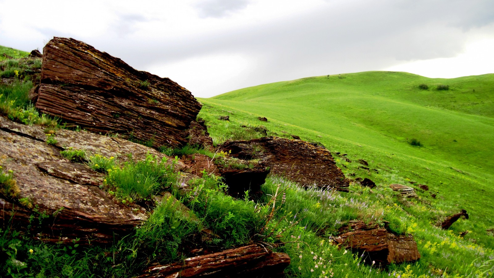 There is a large rock in the middle of a grassy hill (hill, highland, rock, vegetation, rural area)