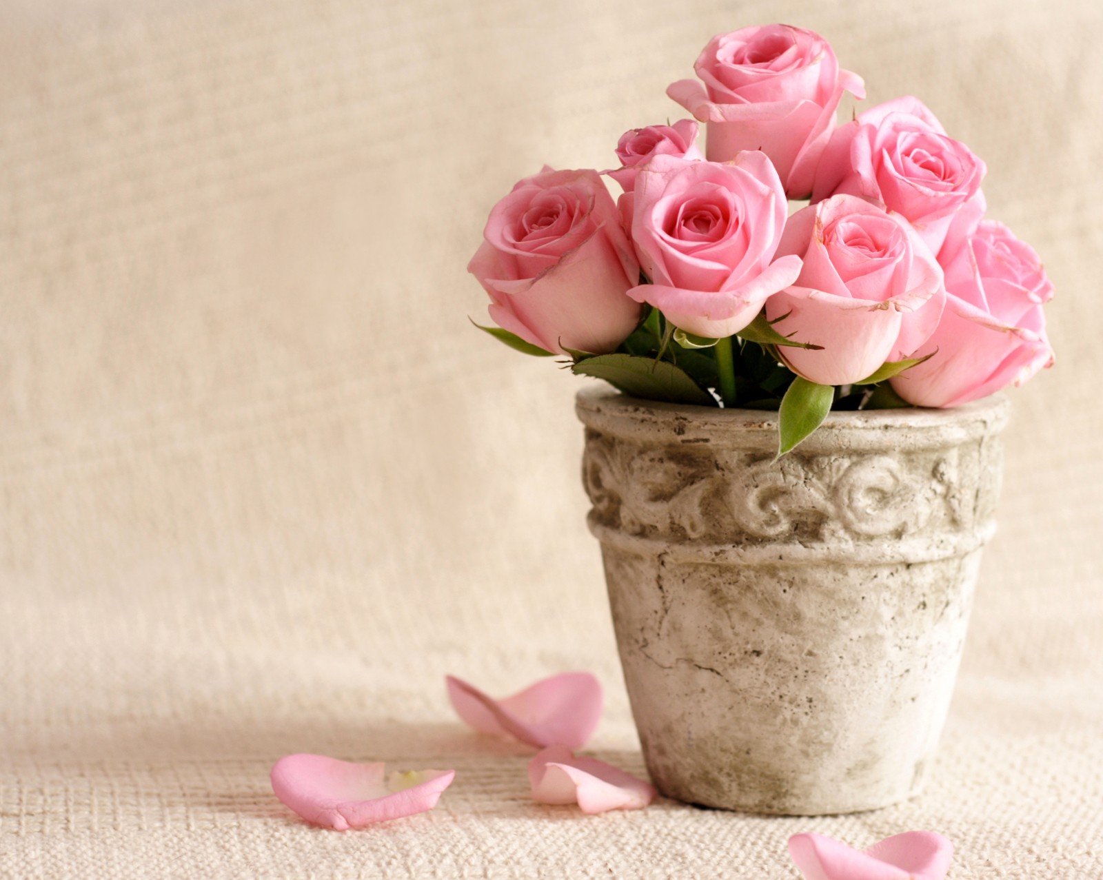 Hay un pequeño jarrón con rosas rosas en una mesa (hermoso rosa, roses vase love)