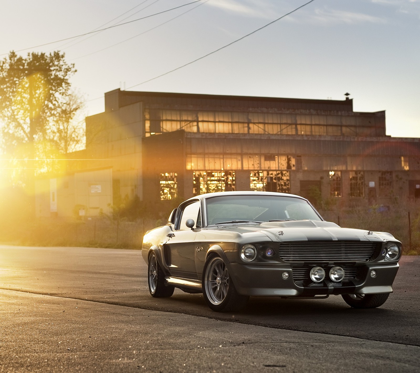 Муссанг, припаркованный на обочине дороги перед зданием (элеонор, eleanor, ford mustang, гт500, gt500)