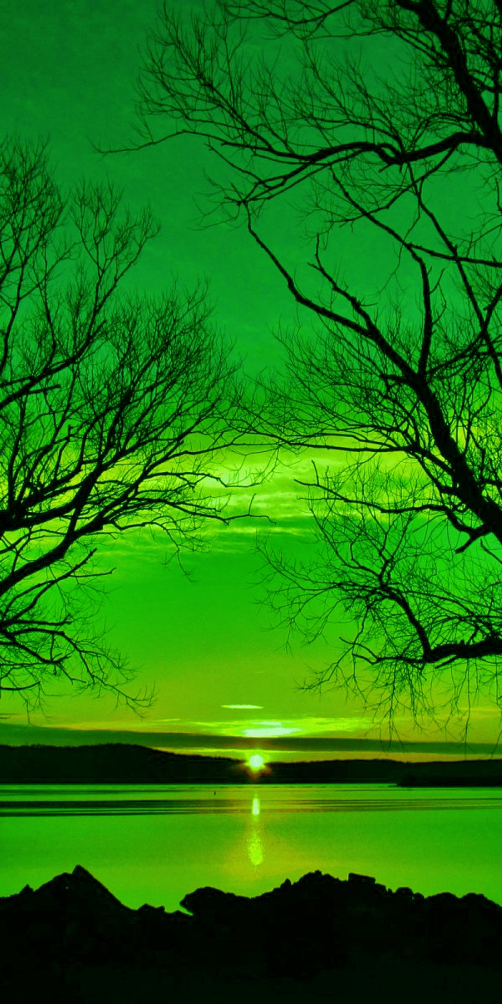 A view of a green sky with a green sun setting over the water (green, landscape, sunset)