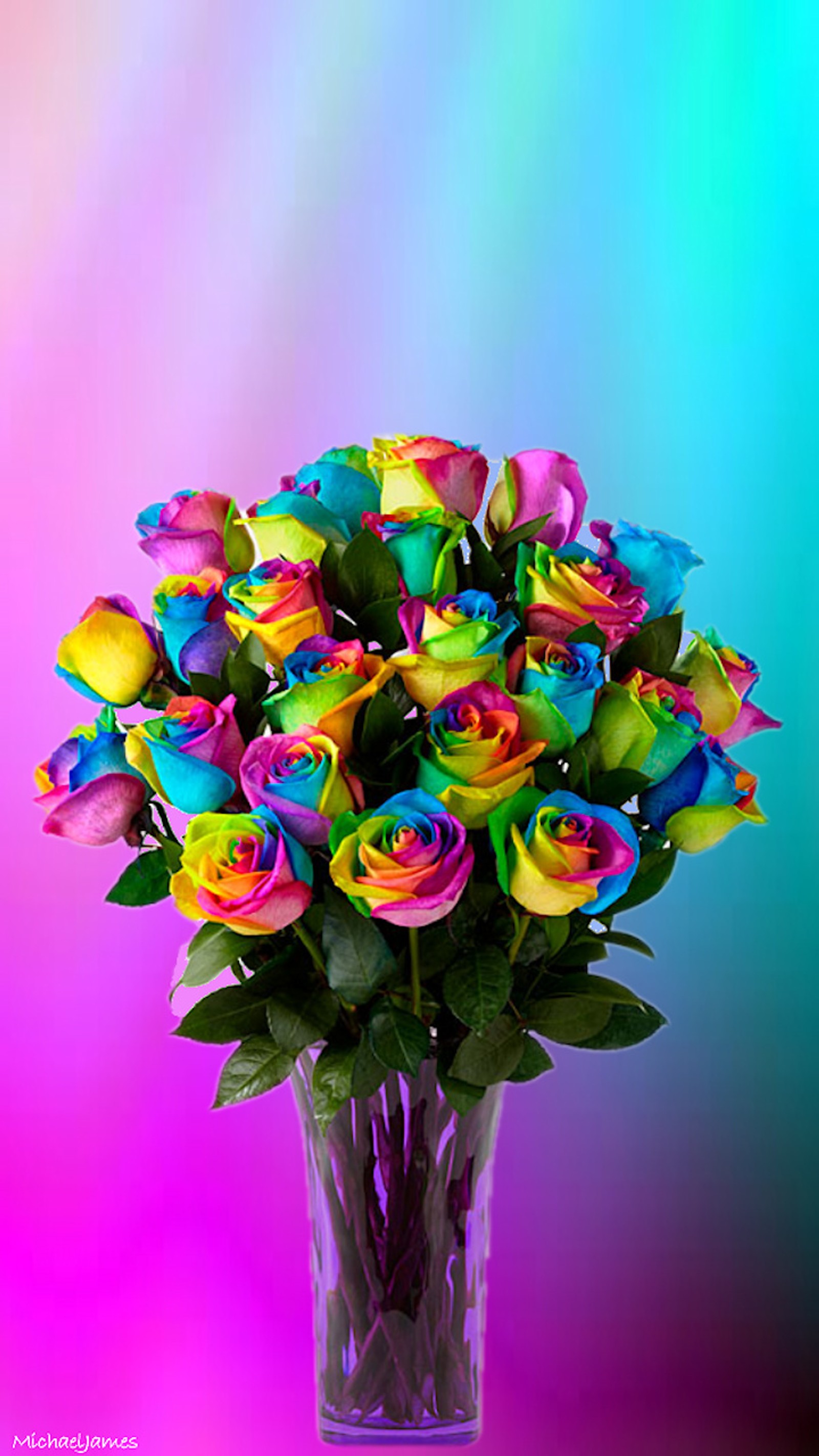 Des roses de couleur vive dans un vase sur un fond rose et bleu (arc en ciel, rose, roses, vase)