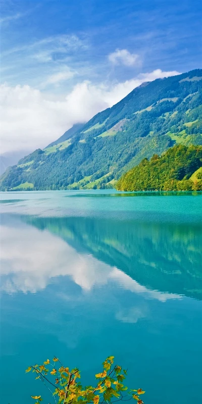 Serene Reflexionen der Berge auf einem ruhigen See