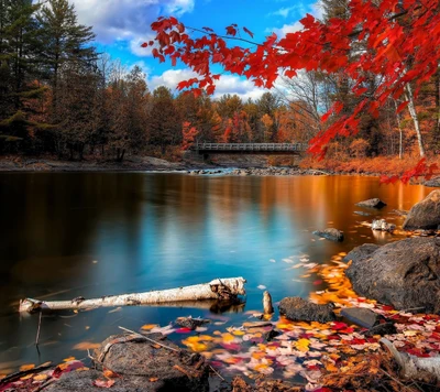 automne, forêt, lac