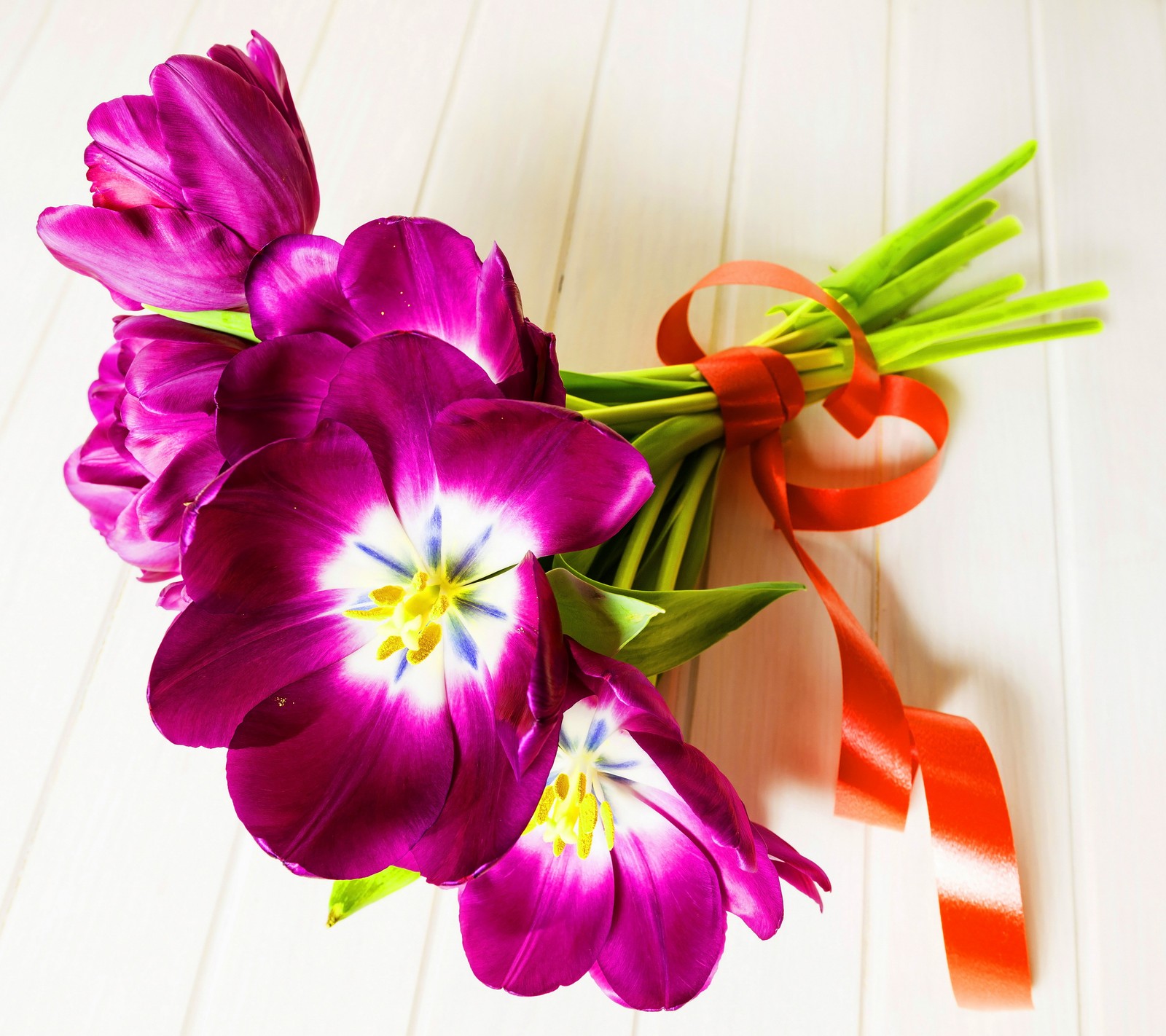 Des fleurs violettes avec un ruban rouge attaché sur une table blanche (fleurs, amour, tulipes, avec, bois)